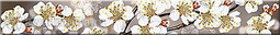 Бордюр для настенной плитки Azori Amati Sakura 50,5*6,2 см 584191002