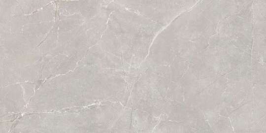 Керамогранит Global Tile Sogdiana Серый GT1206012601SSR 60*120 см